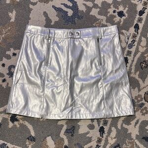 Silver Metallic Skirt